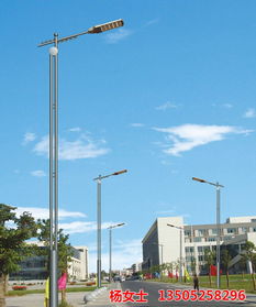 祥霖照明 農(nóng)村led路燈價格 農(nóng)村led路燈