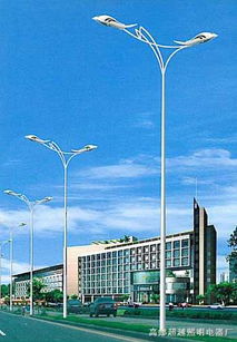 路燈桿加工 路燈桿加工 仙居縣宇光照明器材廠 led投光燈